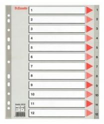 Przekładki plastikowe szare PP numeryczne A4 ESSELTE, 1-12