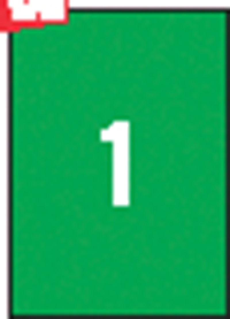 Etykiety kolorowe APLI, 210x297mm, prostokątne, zielone, 20 ark.