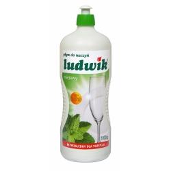 PŁYN DO NACZYŃ LUDWIK MIĘTOWY 900ML