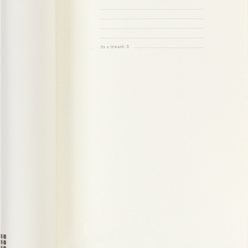 Notes MOLESKINE PROFESSIONAL L (13x21 cm), miękka oprawa, 192 strony, czarny - zdjęcie (11