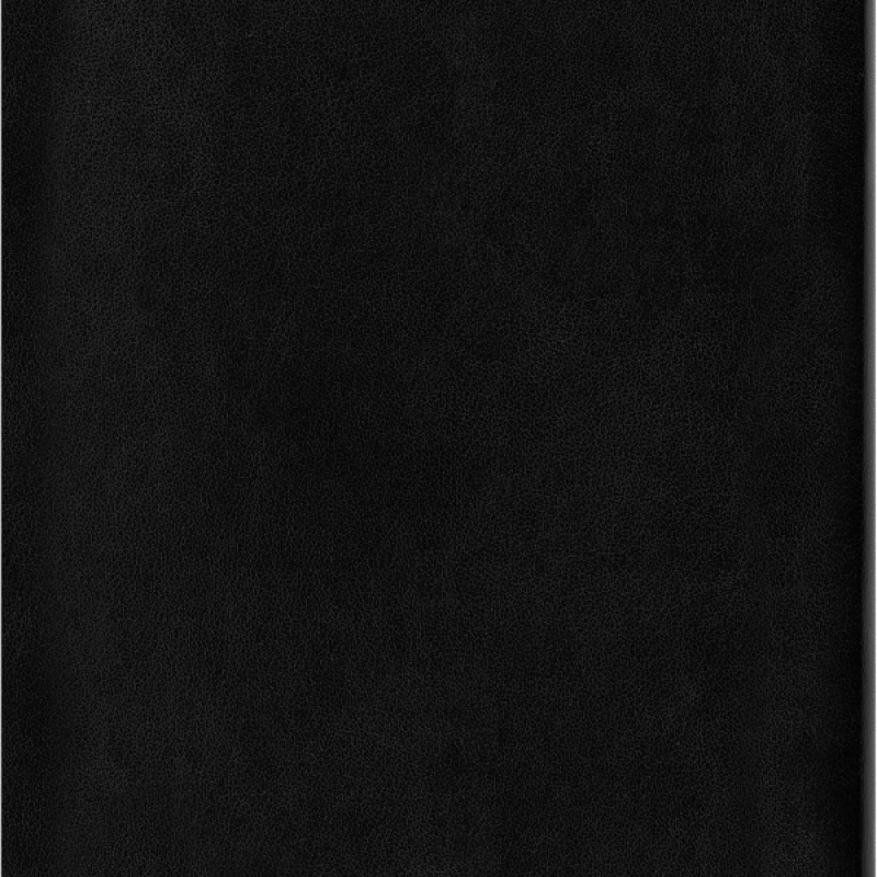 Notes MOLESKINE Classic L (13x21cm) w kratkę, miękka oprawa, 192 strony, czarny