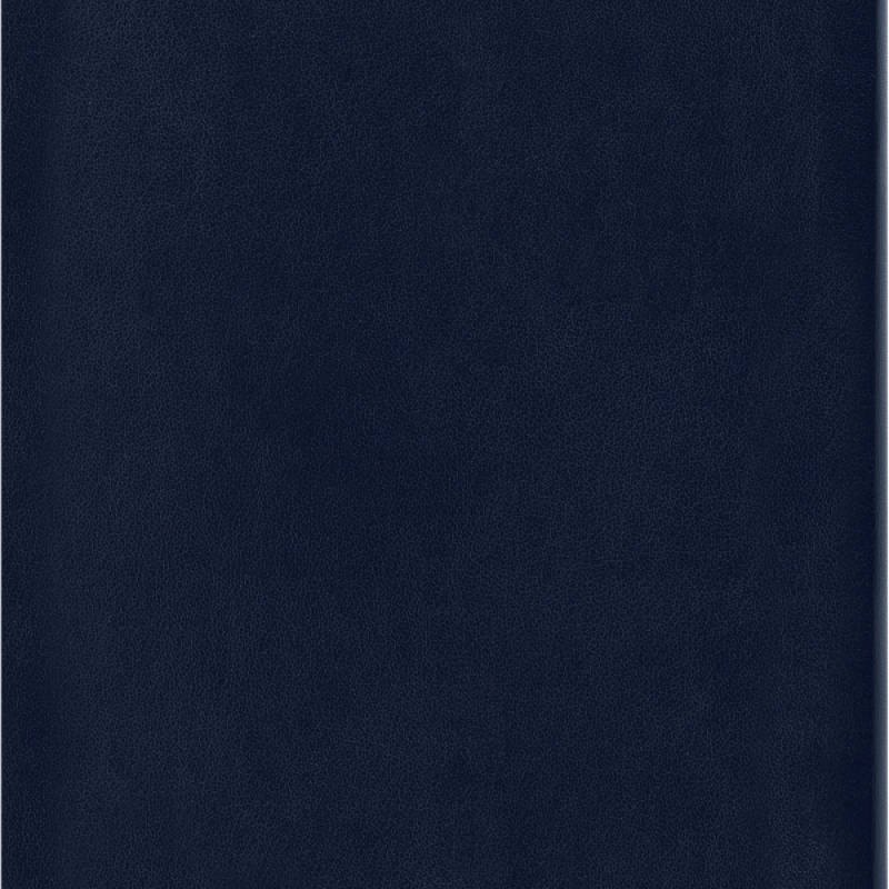 Notes MOLESKINE L (13x21cm) w kratkę, miękka oprawa, sapphire blue, 192 strony, niebieski - zdjęcie (3