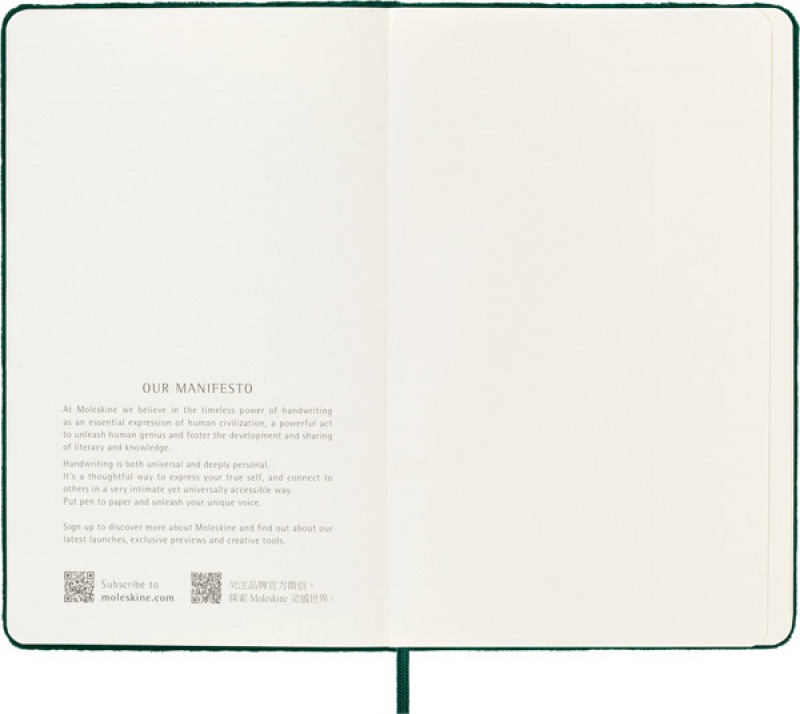 Notes MOLESKINE edycja limitowana Velvet L (13x21 cm) w linie, BOX, zielony - zdjęcie (9