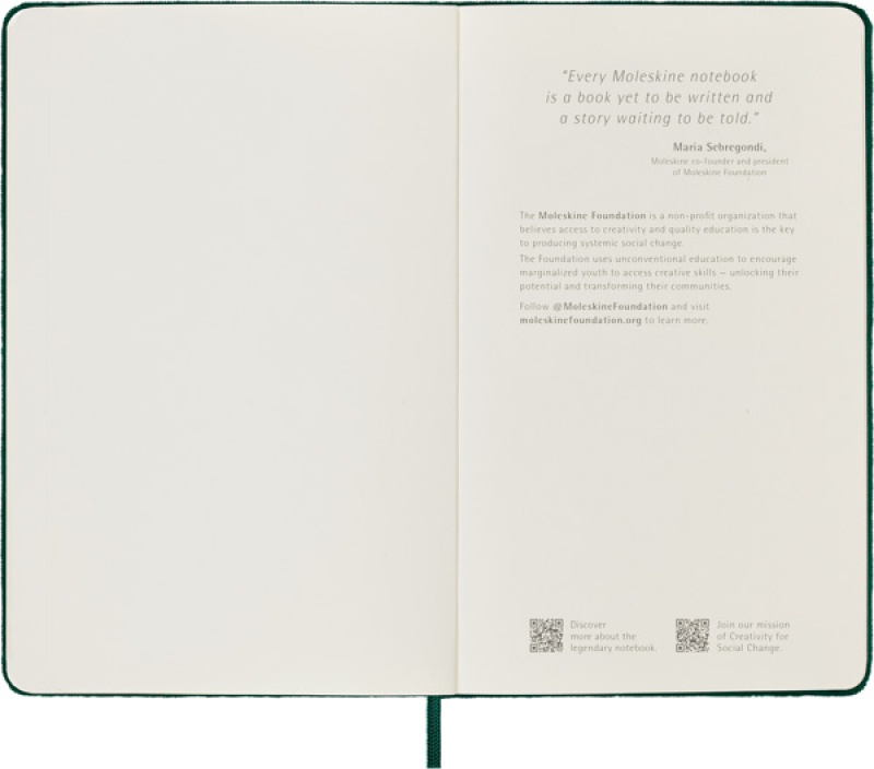 Notes MOLESKINE edycja limitowana Velvet L (13x21 cm) w linie, BOX, zielony - zdjęcie (7