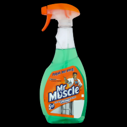 Płyn do szyb MR.MUSCLE 500ml rozpylacz